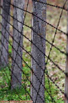 IMG_ (10767)